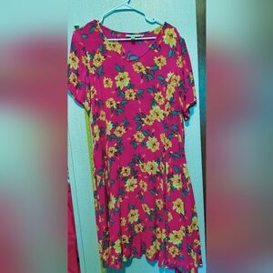 Woman Within Pink Long Floral Dress